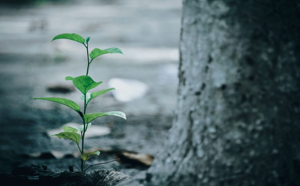 Start where you are