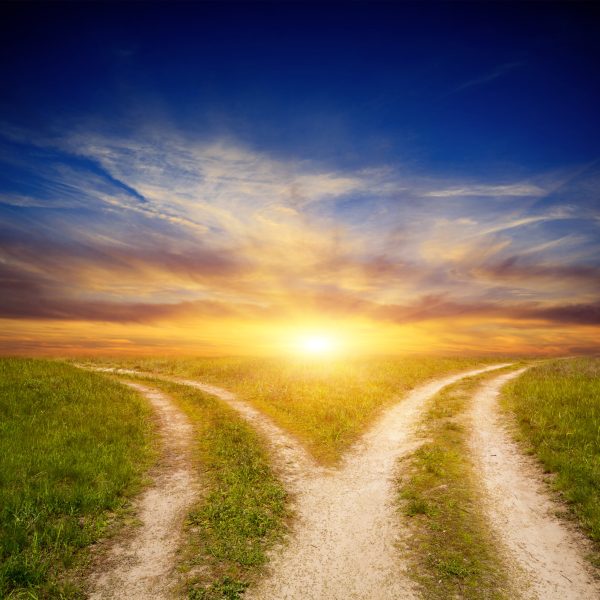 Scene,With,Fork,Roads,In,Steppe,On,Sunset,Sky,Background